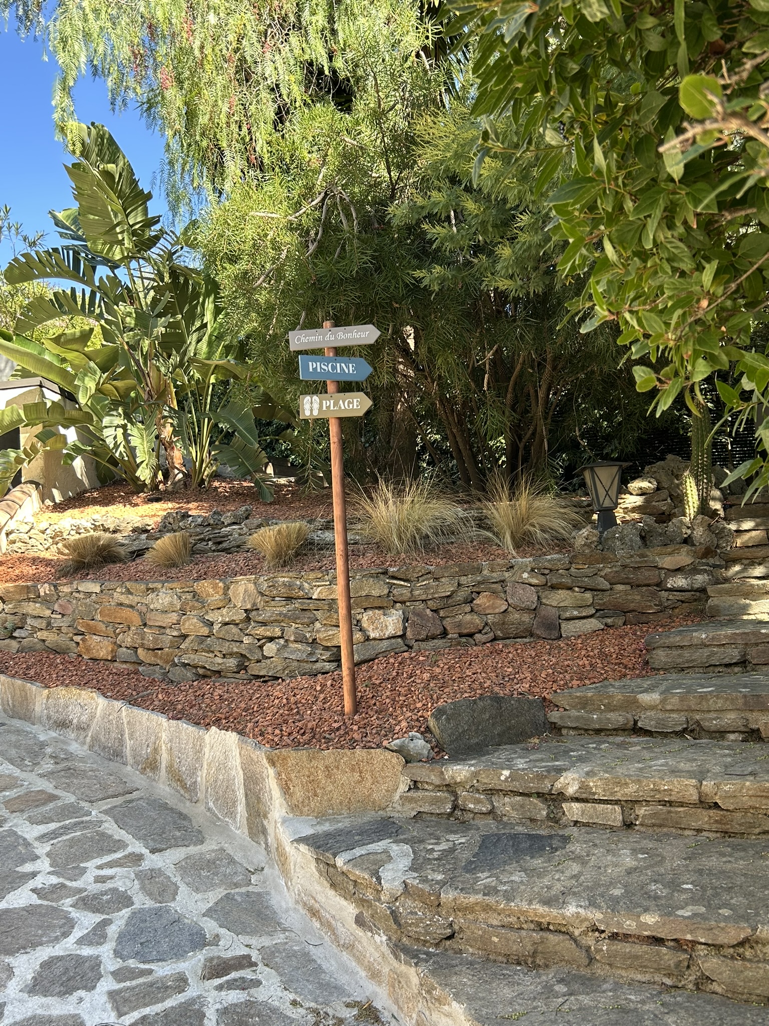 Villa Terra Alba - image 3